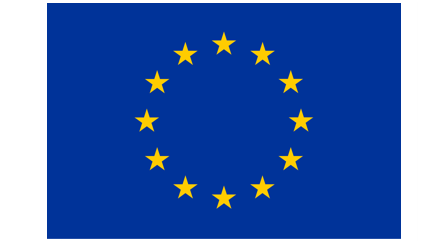 European Commission through the Horizon 2020 programme