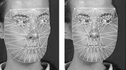 Face Recognition